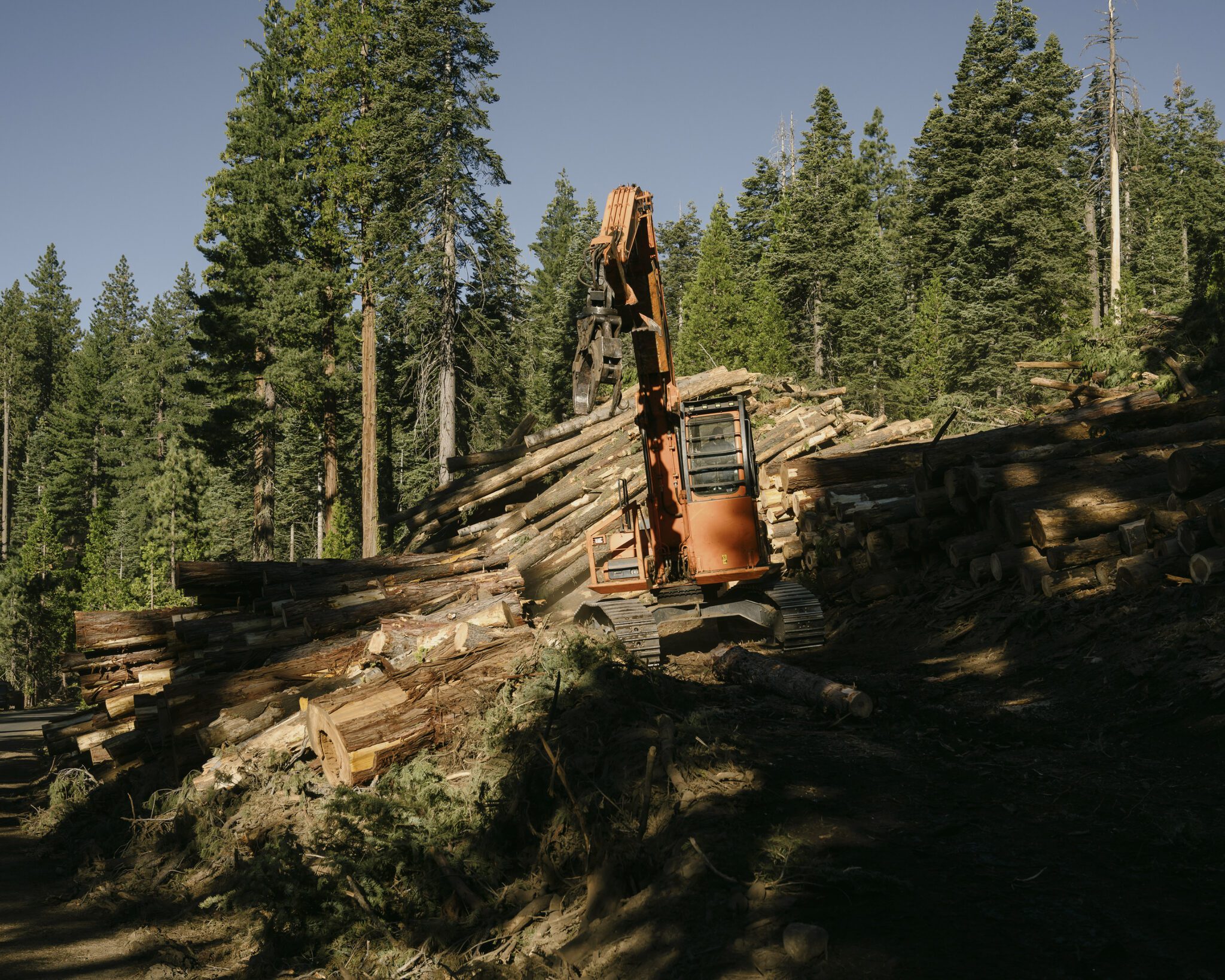 A logging skidder, controlled remotely by a Kodama Systems worker, transports logs in the Stanislaus National Forest, near Sonora, in Northern California, July 26, 2024. High-tech entrepreneurs are trying to use new forms of technology to solve the problem of mega-wildfires in the age of climate change. (Ian C. Bates/The New York Times)